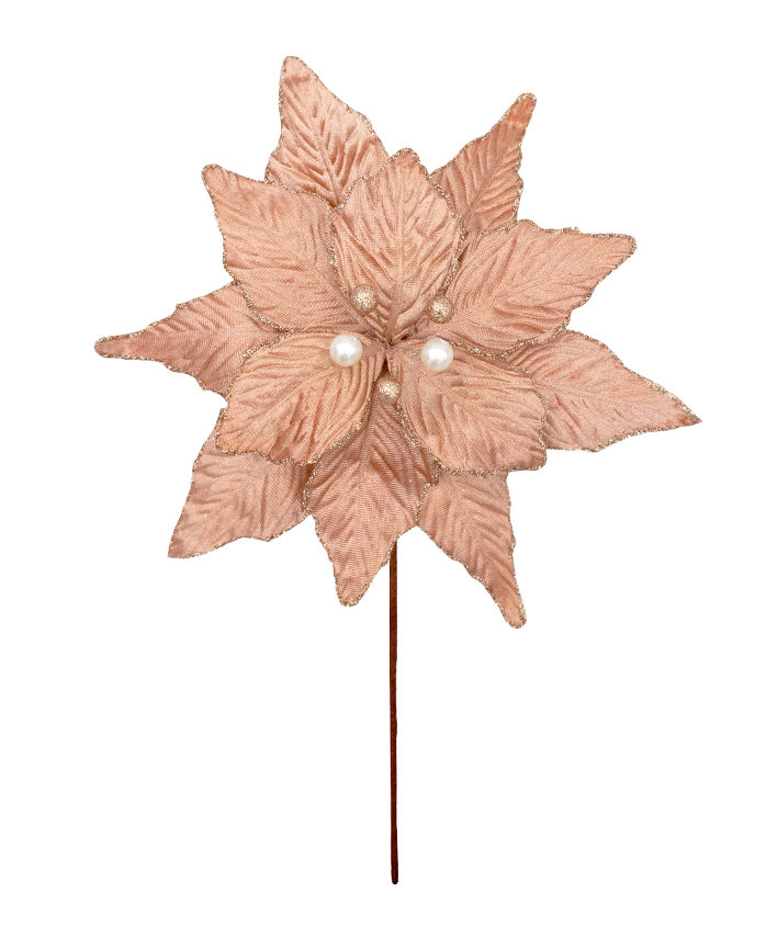 R106380 VARA NOCHE BUENA PERLA D27 A50