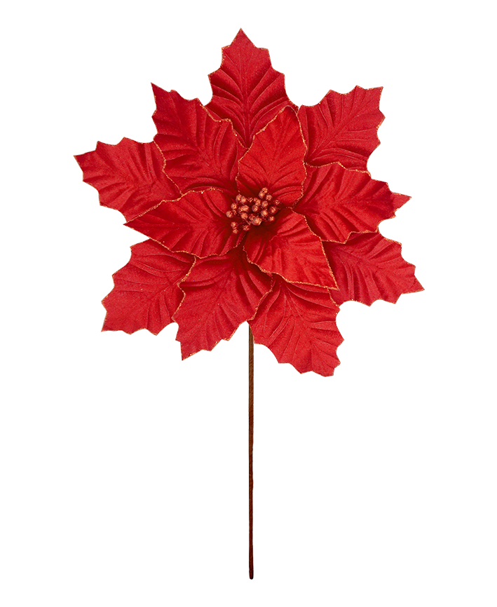 R106387 VARA NOCHE BUENA XL D44 A50