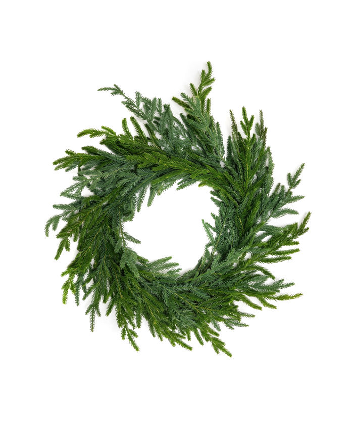 R113607 NAVIDAD CORONA PINO CEDRO 55CM