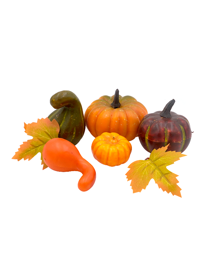 R181101 CALABAZAS MIX