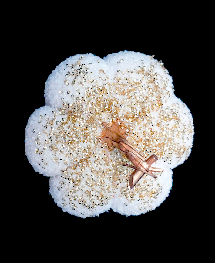 R181102 CALABAZAS DIAMANTADAS 16.5X12CM
