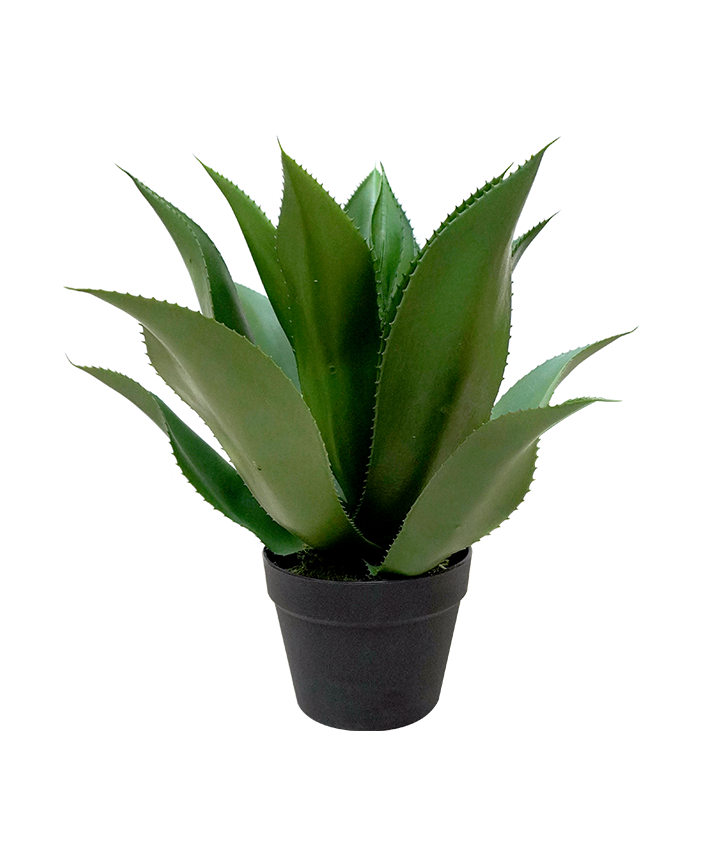R201614 PLANTA ARTIFICIAL AGAVE 50CM