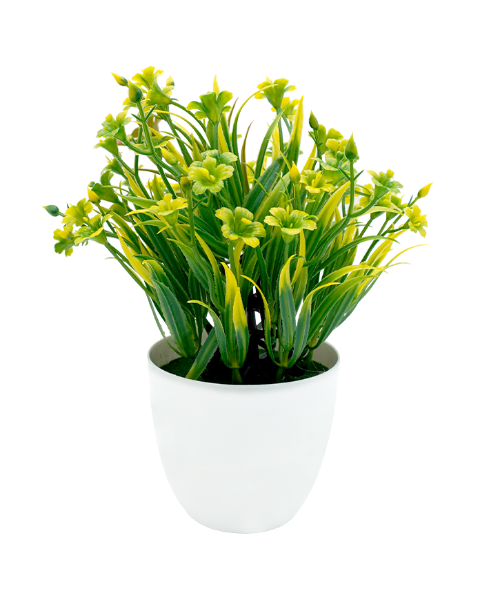 R202041 MINIPLANTA PASTO FLOR 23CM