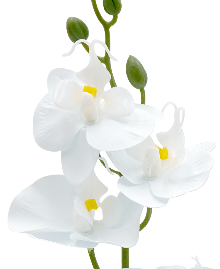 R202047 MINIPLANTA ORQUIDEA 35CM