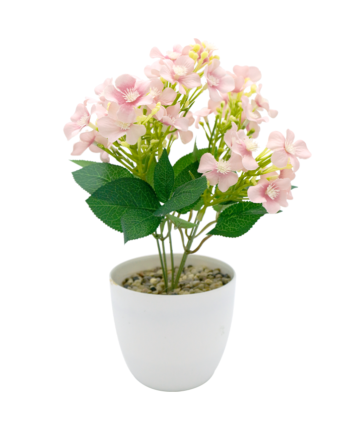 R202048-1 MINIPLANTA MARGARITA 27CM