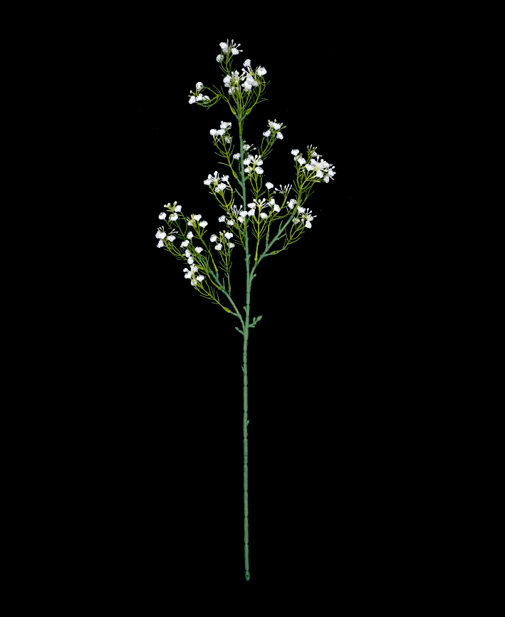 R204037-1 FOLLAJE NUBE 63CM BLANCO