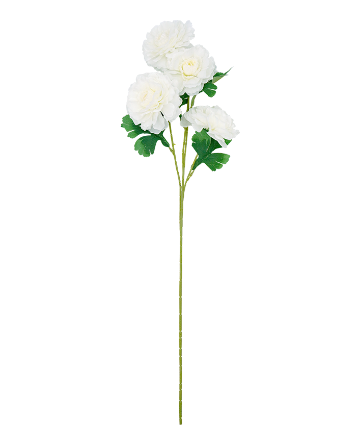 R205045 VARA CLAVEL X4 73CM