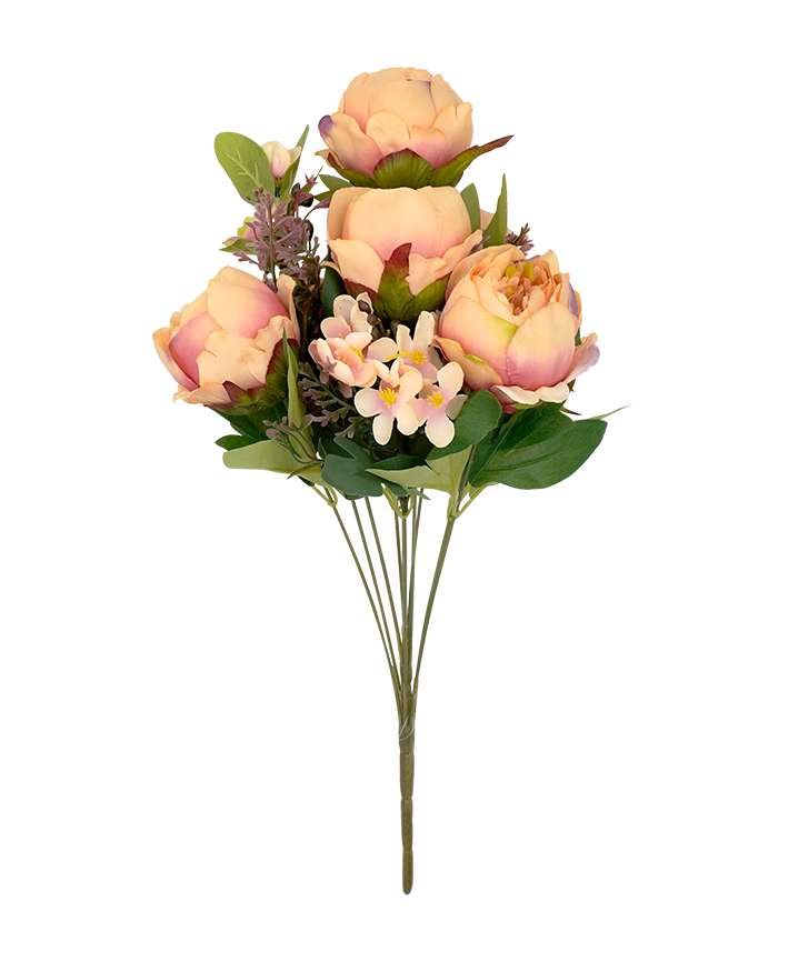 R205204 RAMO GRANDE PEONY X11 50 CMS