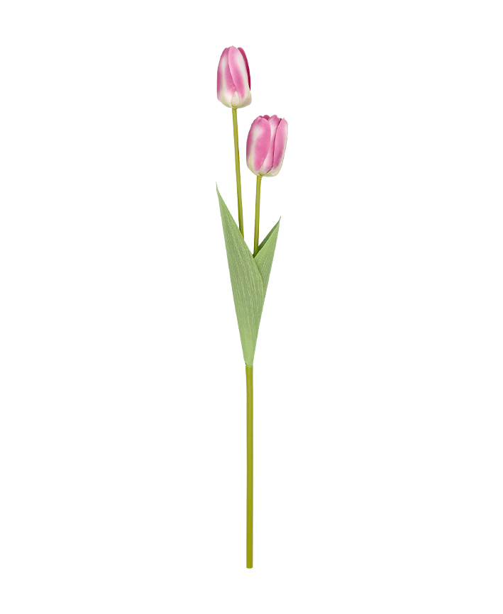 R206023 VARA TULIPAN X2 50CM