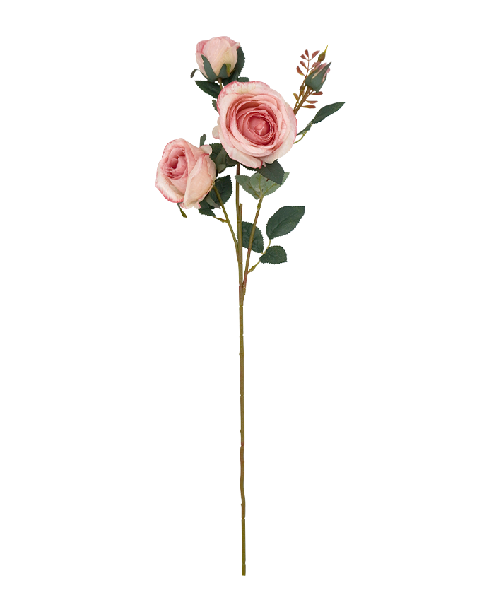 R206024 VARA ROSA X3 64 CM
