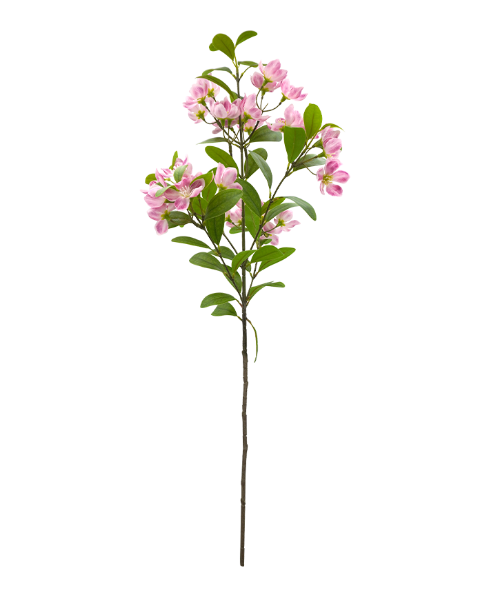 R206025 VARA MIRTO 71CM