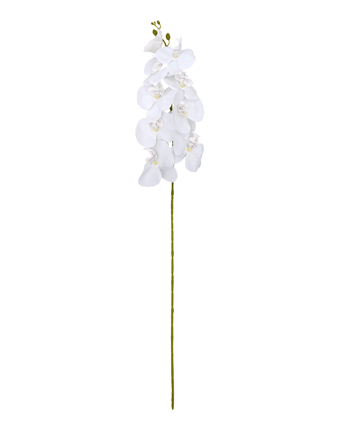 R207004 VARA ORQUIDEA RT X9 106CM