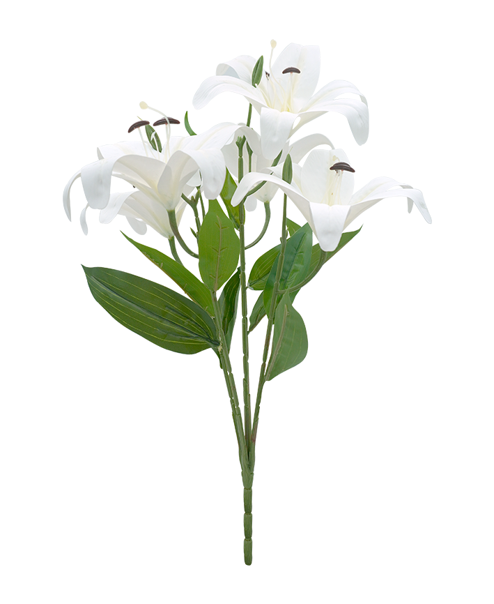 R207102-1 RAMO LILI X5 50CM BLANCO