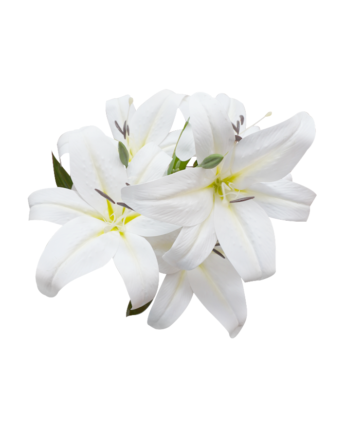R207102-1 RAMO LILI X5 50CM BLANCO