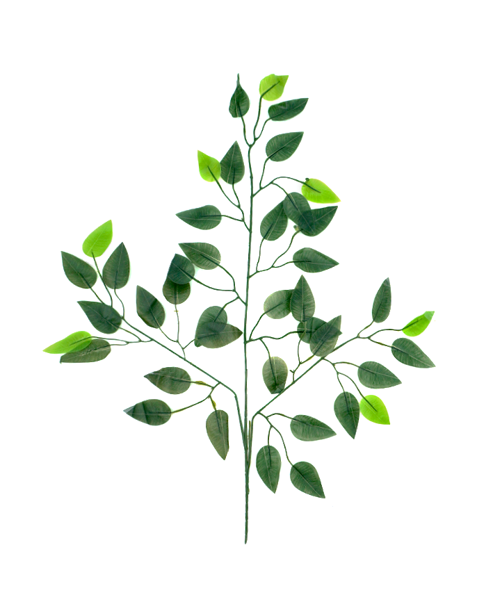 R218206 VARA FOLLAJE FICUS 12PZ 60CM