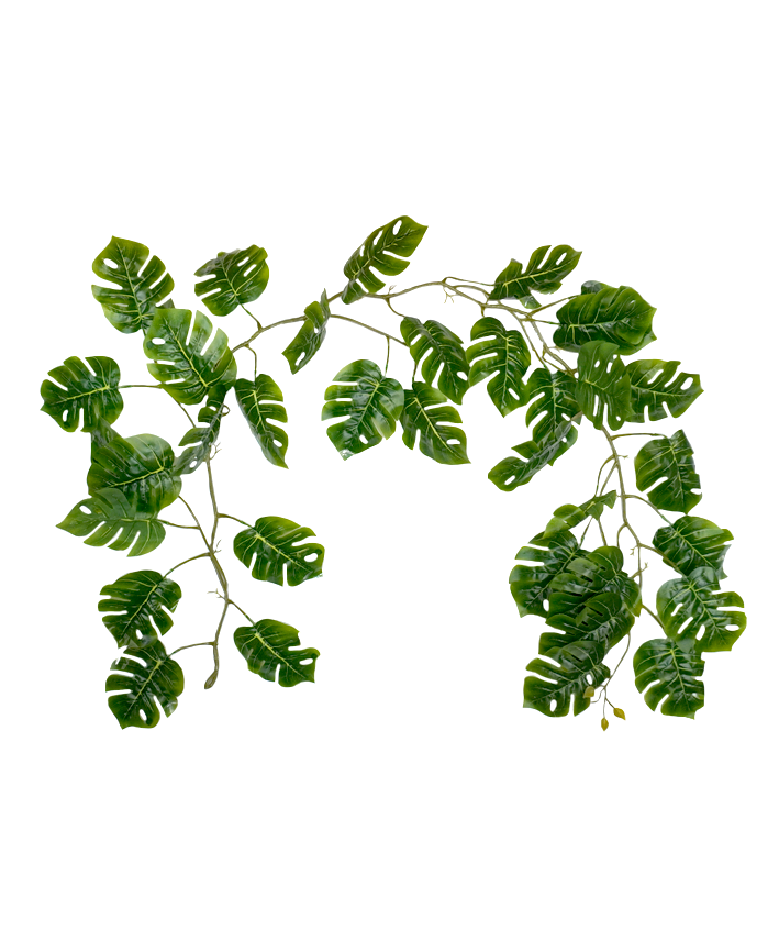 R218324 GUIA MONSTERA 1.75M