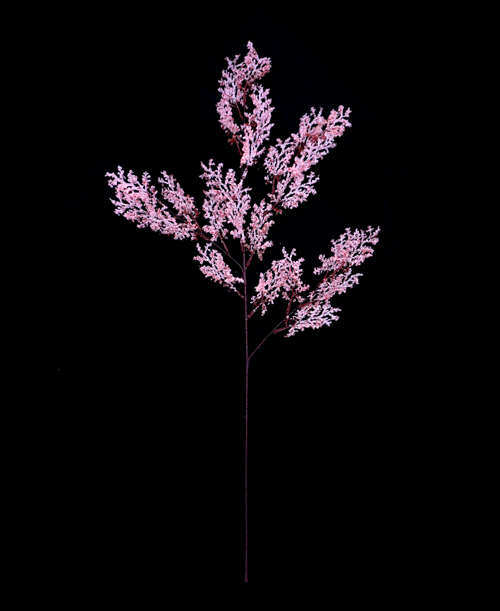 R222204 VARA CASPIA 90CM