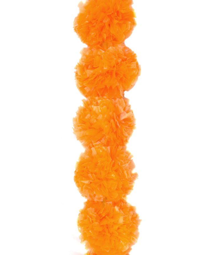 R904002 GUIA POMPOM 150CM 1PZ