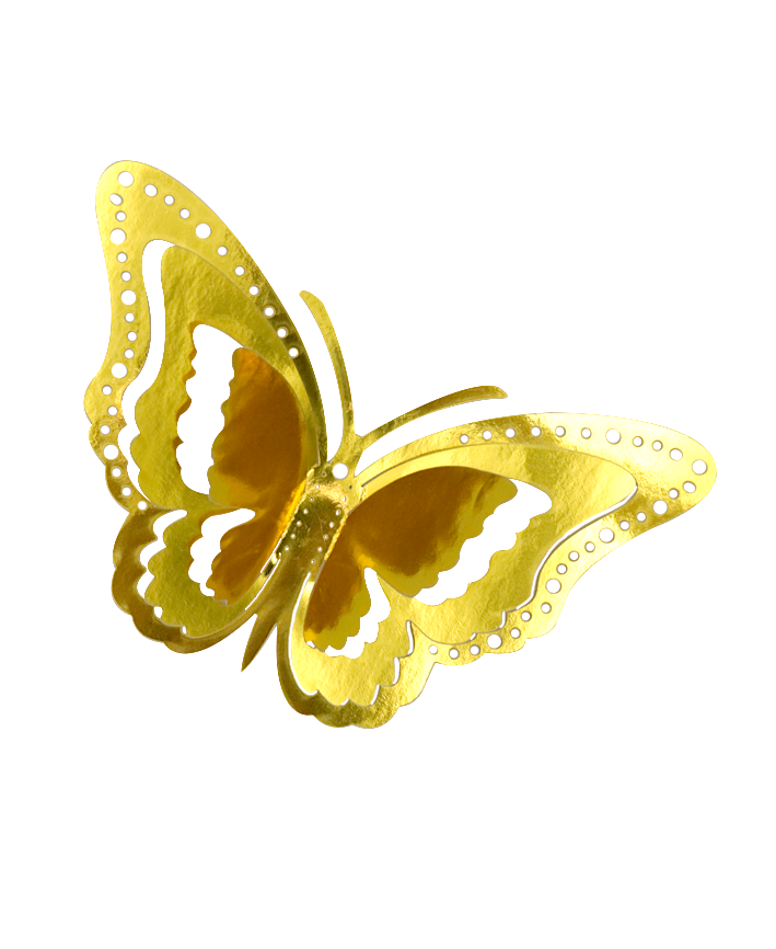 R923103 MARIPOSAS PAPEL CIRCULOS 12PZS