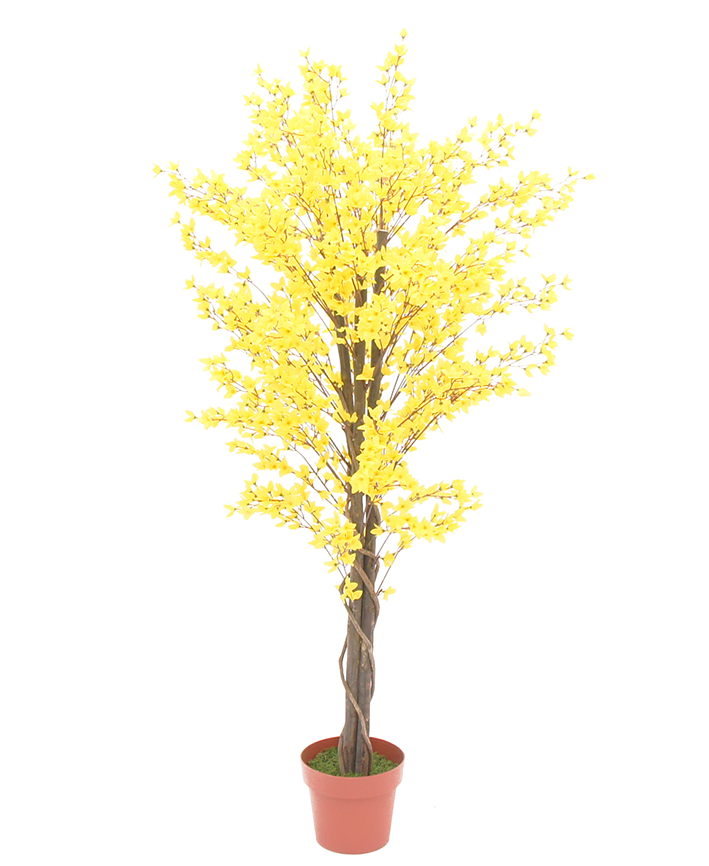 R201018 PLANTA ARBOL FLORES 1.60MTS