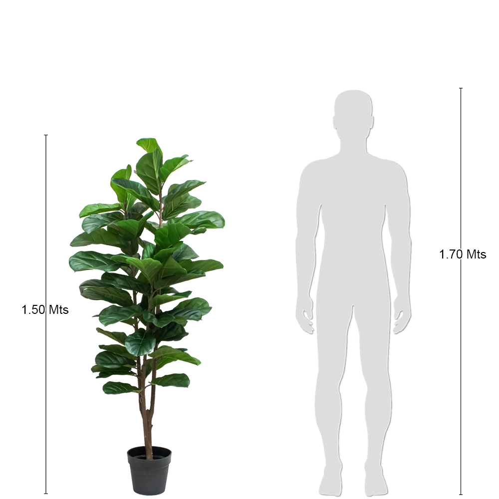Ficus Pandurata Planta Artificial Grande Exterior 1,25 Mts