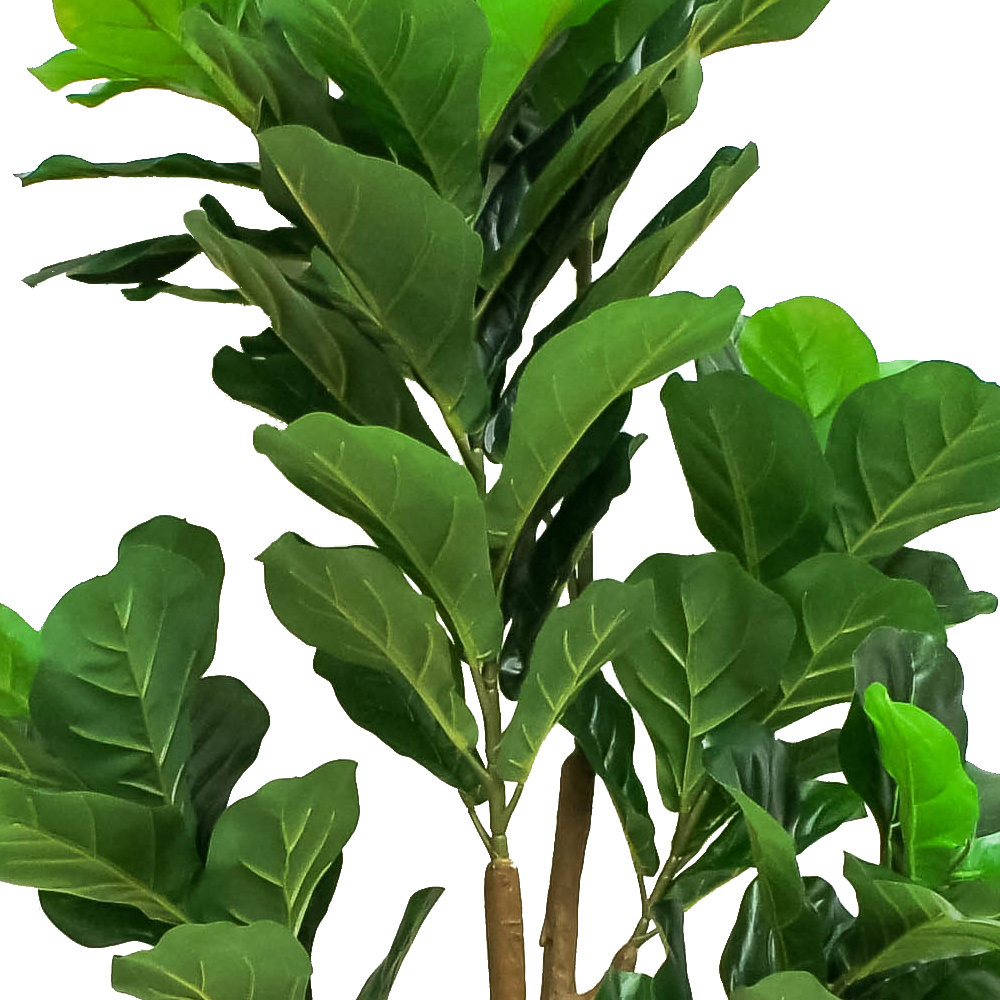 R201064 PLANTA ARTIFICIAL PANDURATA 1.68M 96 HOJAS