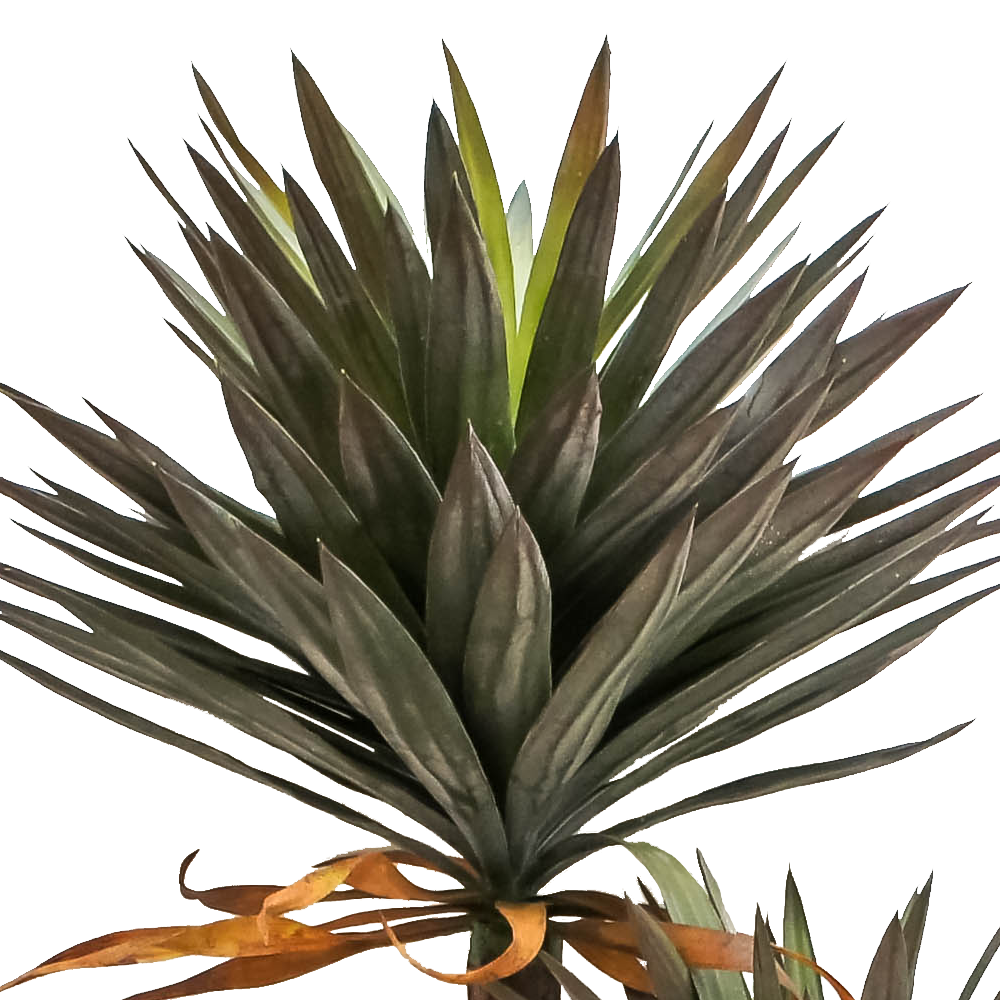 R201068 PLANTA ARTIFICIAL YUCCA GLORIOSA X2 1.40 MTS