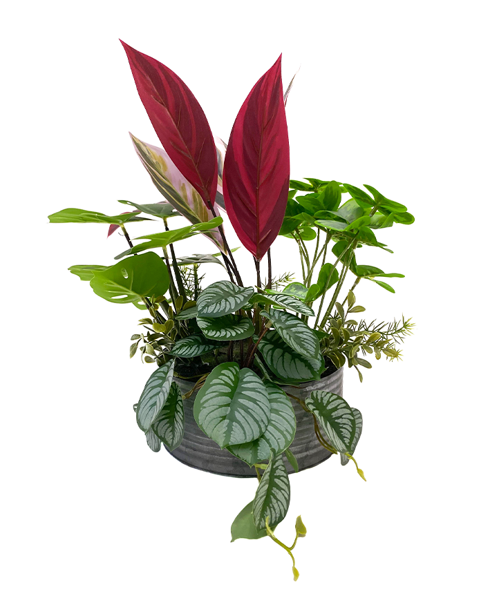 R201411 MINIPLANTA MIX BASE METAL 35 CM