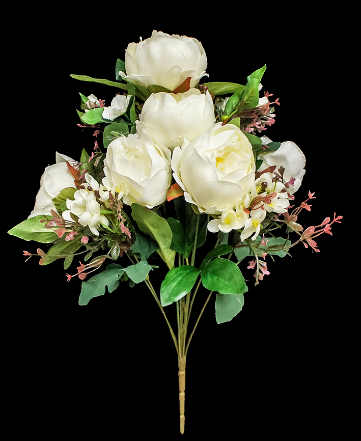 R205204 RAMO GRANDE PEONY X11 50 CMS
