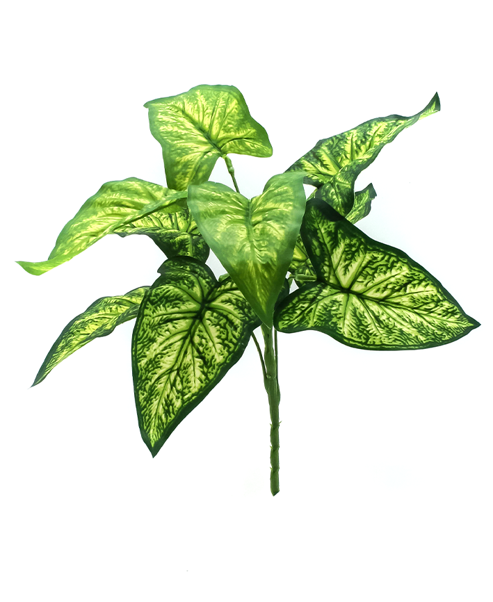 R217013 FOLLAJE HOJAS CALADIUM X9 37 CM