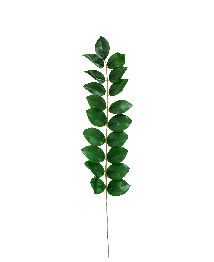 R224006 FOLLAJE HOJA ZAMIIFOLIA 50 CM