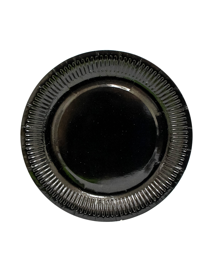 R906006 PLATO LISO GRANDE 23 CMS 10 PZAS