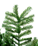 R101003 PINO NAVIDAD SIERRA