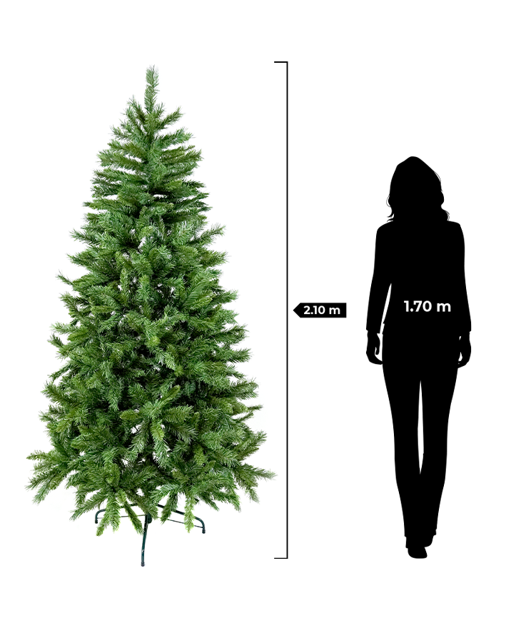 R101003 PINO NAVIDAD SIERRA
