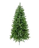 R101003 PINO NAVIDAD SIERRA