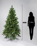 R101005 PINO NAVIDAD BRERCKEN