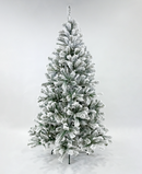 R101052 PINO NAVIDAD DENVER DELGADO NEVADO
