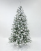 R101052 PINO NAVIDAD DENVER DELGADO NEVADO