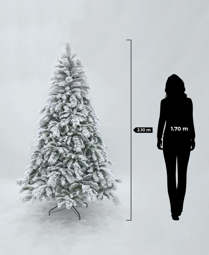 R101054 PINO NAVIDAD NEVADO BRERCKEN
