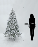 R101054 PINO NAVIDAD NEVADO BRERCKEN