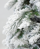 R101054 PINO NAVIDAD NEVADO BRERCKEN