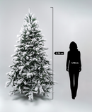 R101054 PINO NAVIDAD NEVADO BRERCKEN