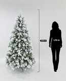 R101055 PINO NAVIDAD NEVADO BEAVER