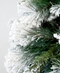 R101055 PINO NAVIDAD NEVADO BEAVER
