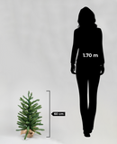 R101093-060 PINO NAVIDAD MINI 60 CM