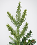 R101094-090 PINO NAVIDAD BONITO 90CM