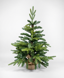 R101094-090 PINO NAVIDAD BONITO 90CM