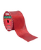 R102315 LISTON BRILLANTE 6.3CMX10Y