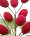 R103089 NAVIDAD PICK UVAS PERLINA 20CM
