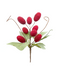 R103089 NAVIDAD PICK UVAS PERLINA 20CM